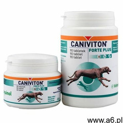 Caniviton Forte Plus 90 tbl. - ogłoszenia A6.pl
