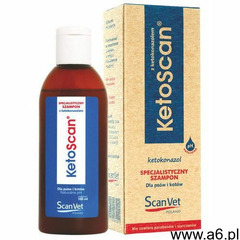 Scanvet Ketoscan 100 ml - ogłoszenia A6.pl