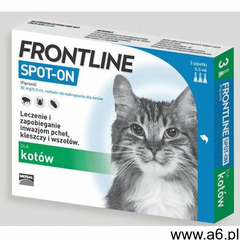spot on kot pipeta 1szt marki Frontline - ogłoszenia A6.pl