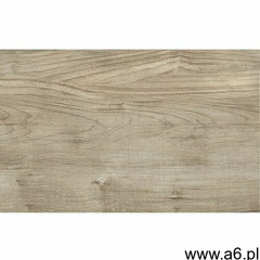 Equador brown 25x40 gat i marki Ceramika color - ogłoszenia A6.pl