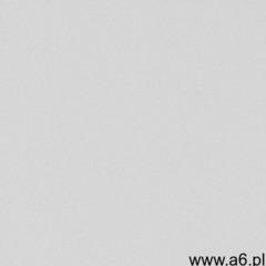 Gres galactic 60 x 60 cm white 1,44 m2 marki Ceramstic - ogłoszenia A6.pl