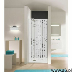 SANPLAST drzwi Free Line 80 szkło W16, DJ2/FREE-80 600-260-0300-42-211 - ogłoszenia A6.pl