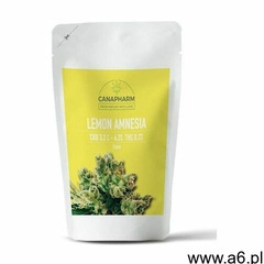 Nasiona CBD LEMON AMNESIA - 5 szt. - ogłoszenia A6.pl