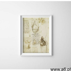 Vintageposteria.pl Plakat w stylu retro plakat w stylu retro da vinci print układ rozrodczy męski i  - ogłoszenia A6.pl