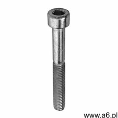 Śruby imbusowe z łbem walcowym ocynkowane M6 x 40 mm (4001221784263) - ogłoszenia A6.pl