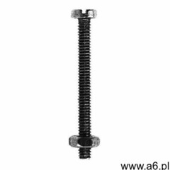 Śruby metryczne z łbem walcowym M2 x 10 mm 10 szt. (4001221904340) - ogłoszenia A6.pl