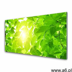 Panel Szklany Liście Natura Słońce Roślina - ogłoszenia A6.pl