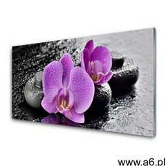 Tulup.pl Panel szklany storczyk kwiaty orchidea spa - ogłoszenia A6.pl