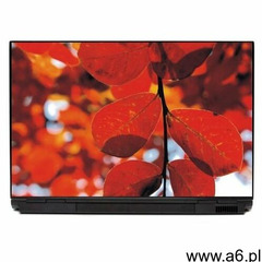 Naklejka na laptopa liście p153 - ogłoszenia A6.pl
