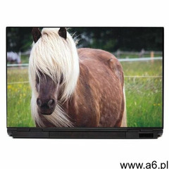 Naklejka na laptopa koń p296 - ogłoszenia A6.pl