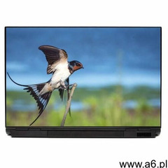 Naklejka na laptopa ptak p515 - ogłoszenia A6.pl