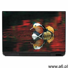 Naklejka na laptopa kaczka p208 - ogłoszenia A6.pl