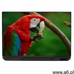 Naklejka na laptopa papuga p467 - ogłoszenia A6.pl