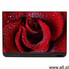 Naklejka na laptopa róża 0042 - ogłoszenia A6.pl