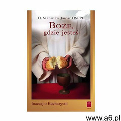Boże, gdzie jesteś. Inaczej o Eucharystii (120 str.) - ogłoszenia A6.pl