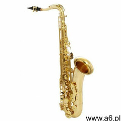 ts-202 saksofon tenorowy (z futerałem) marki Roy benson - ogłoszenia A6.pl