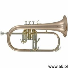 Roy Benson (RB701095) Flugelhorn w stroju Bb FH-302G - ogłoszenia A6.pl