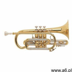 Bach (706640) kornet w stroju Bb 184 Stradivarius - ogłoszenia A6.pl