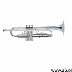 JMICHAEL TR 300SA tr?bka - ogłoszenia A6.pl