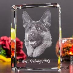 Zdjęcie 2.5D Twojego zwierzaka • Grawer 3D zdjęcia • FOTOKRYSZTAŁ 3D - ogłoszenia A6.pl