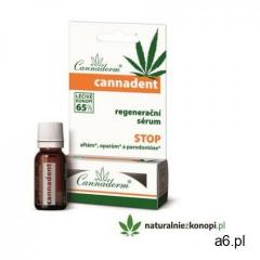 Serum regeneracyjne na pleśniawki i opryszczkę Cannaderm Cannadent - ogłoszenia A6.pl