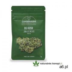 Susz OG kush CBD 4,7% THC <0,2% - ogłoszenia A6.pl