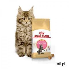 ROYAL CANIN KITTEN MAINE COON 31 - 10KG - ogłoszenia A6.pl