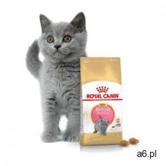 Royal canin kitten british shorthair - 10kg - ogłoszenia A6.pl