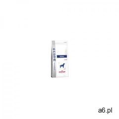 Royal canin dog renal rf14 - 14kg marki Royal canin veterinary - ogłoszenia A6.pl