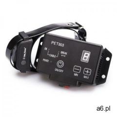 Petrainer Pastuch elektryczny dla psa pet803 - ogłoszenia A6.pl