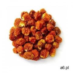 Horeca - surowce Jagody inkaskie suszone bio (surowiec) (15 kg- cena za 1 kg) (5902448160238) - ogłoszenia A6.pl