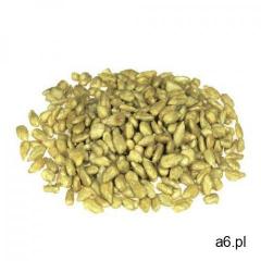 Słonecznik łuskany w karmelu 0.5 kg - ogłoszenia A6.pl