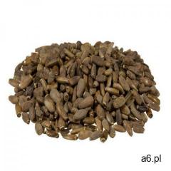Polska Ostropest plamisty 1 kg - ogłoszenia A6.pl