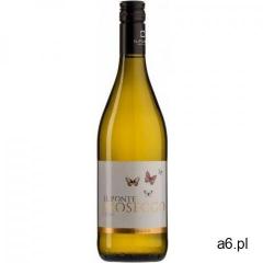 Wina - zagraniczne Wino il ponte prosecco białe półwytrawne bio 0,75 l (włochy) - ogłoszenia A6.pl
