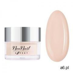 Titanium Dip Powder NN EXPERT 20 g – Tea Rose (5903274095091) - ogłoszenia A6.pl