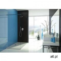tx ścianka prysznicowa 70 cm walk-in p/tx5b-70 600-271-2100-01-231 marki Sanplast - ogłoszenia A6.pl