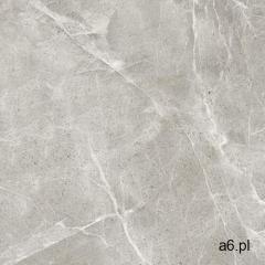 Aston grey polished 60x60 gat i marki Netto plus - ogłoszenia A6.pl