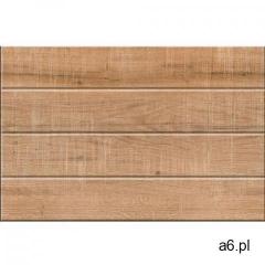 Dekor lima brown shiny 25x37,5 gat i marki Netto plus - ogłoszenia A6.pl