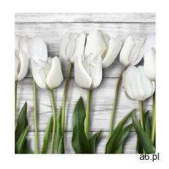 Panel kuchenny szklany TULIPS 60 x 60 cm ALFA-CER - ogłoszenia A6.pl