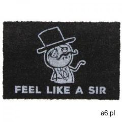 Feel like a sir - ogłoszenia A6.pl