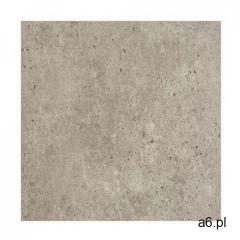 Okładzina ścienna Inspiro mist 70 x 42 cm - ogłoszenia A6.pl