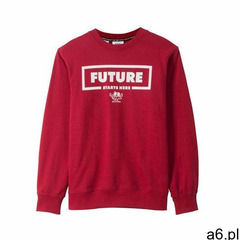 Bluza chłopięca z nadrukiem bonprix ciemnoczerwony z nadrukiem - ogłoszenia A6.pl