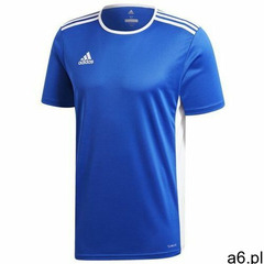 Koszulka dziecięca entrada 18 cf1037 marki Adidas - ogłoszenia A6.pl