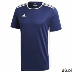 Koszulka dziecięca entrada 18 cf1036 marki Adidas - ogłoszenia A6.pl