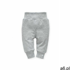 Legginsy szare wild animals 5m37a8 marki Pinokio - ogłoszenia A6.pl