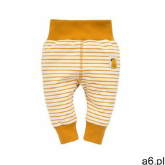 Pinokio Legginsy w paski nice day 6m38ay - ogłoszenia A6.pl