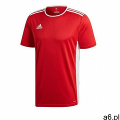 Koszulka dziecięca entrada 18 cf1038 marki Adidas - ogłoszenia A6.pl