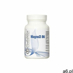 MagneZi B6 - ogłoszenia A6.pl