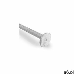 Śledź talerzowy 400mm marki Trotec - ogłoszenia A6.pl