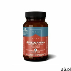, glukozamina boswellia & msm kompleks, wegański suplement diety, 50 kaps marki Terranova - ogłoszenia A6.pl